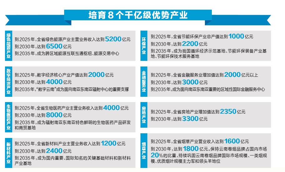 澳门与香港，未来的精准发展蓝图与全面释义
