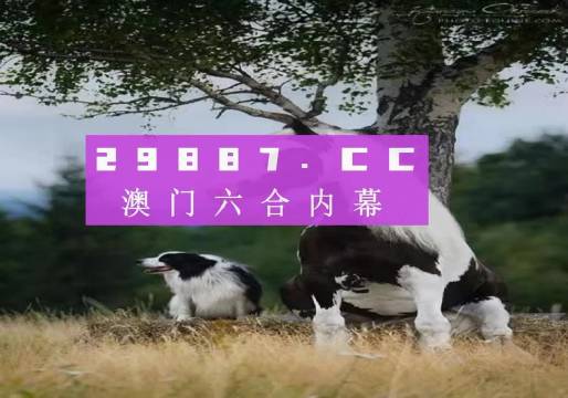 今晚必开一肖四不像图，深度解析与实际应用