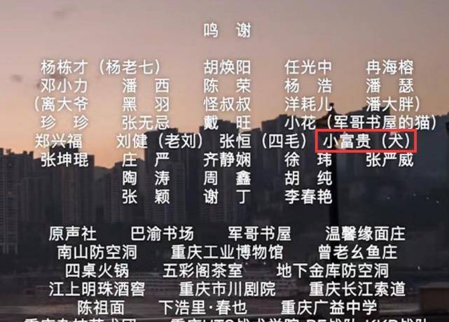 一码一肖，揭秘精准预测的秘密—探寻100%精准的奥秘之道
