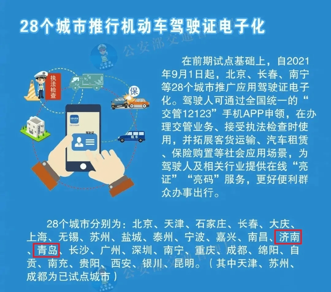 关于新澳天天正版资料大全的全面解答与落实策略到2025年