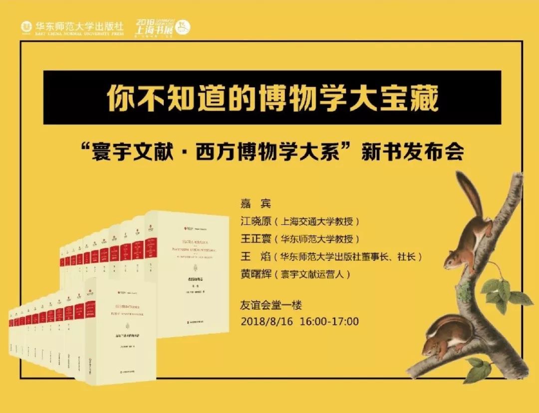 新澳2025资料大全免费，高效回顾方案与经典版内容详述