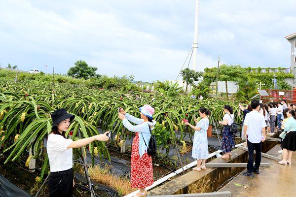 揭秘新澳精准资料免费提供网站背后的秘密与真相（回忆版）