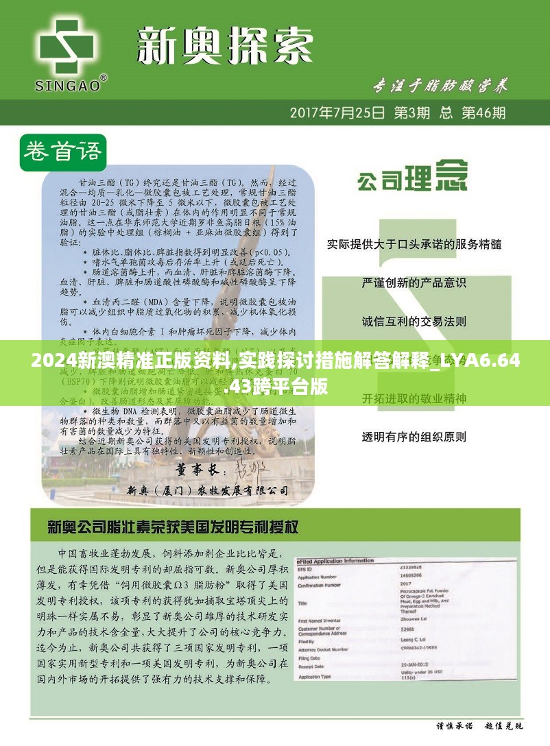 新澳大全2025正版资料，实证释义、解释与落实