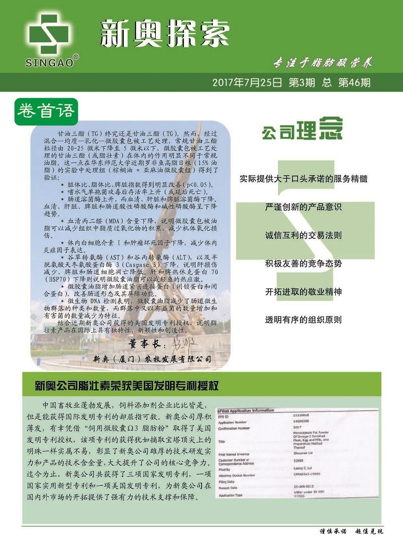新奥管家婆资料2025年85期前沿解答与深入解析的实施策略