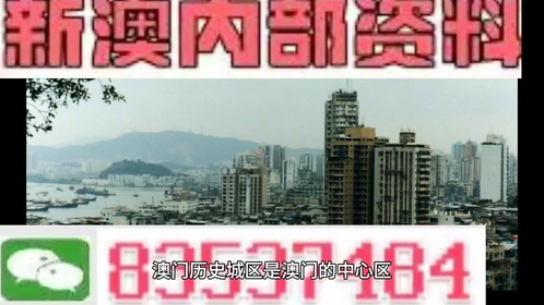 澳门与香港精准内部免费资料大全，精选解析、落实与解释