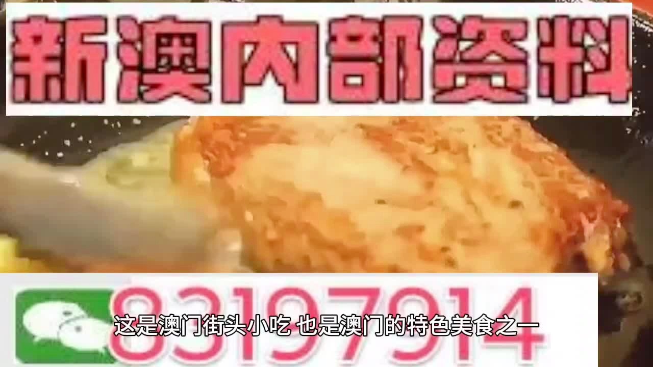 探索新澳门，免费资料大全与精选答案的落实之旅（全新版本）