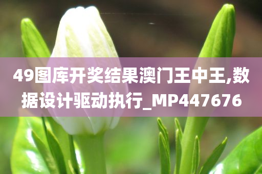 新闻 第941页