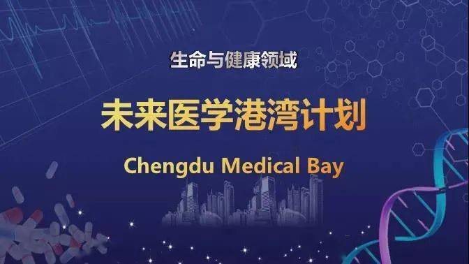 探索未来，解析与落实澳门新免费精准大全（2025版）