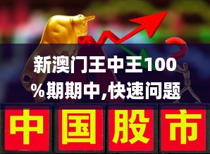 澳门王中王现象解析
