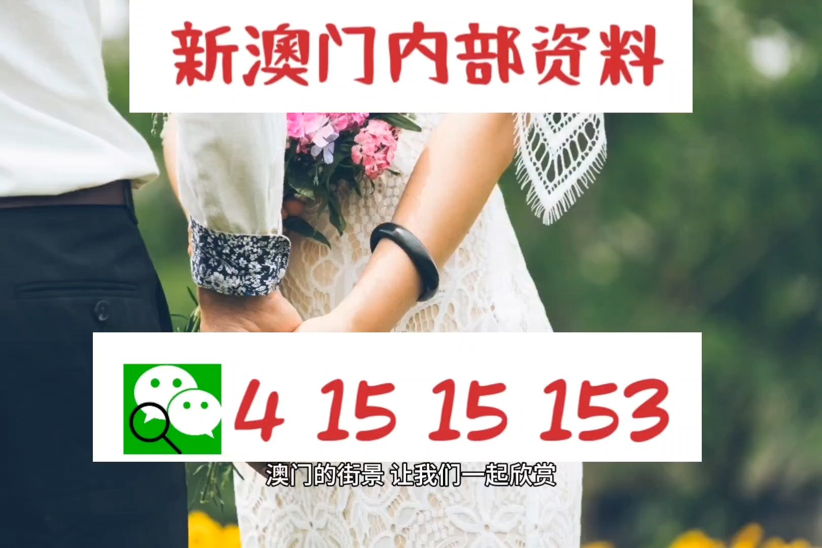 揭秘新澳门正版免费资料的查询方法，资料获取技巧分享