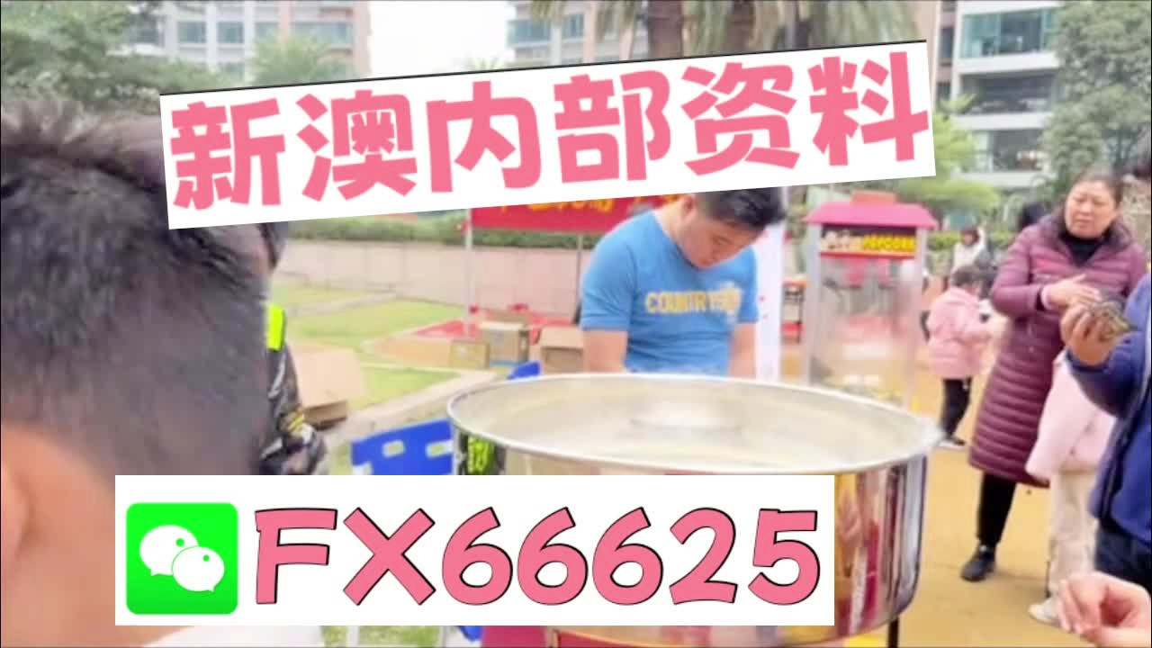新澳准确内部彩资料大全最新版本详解与落实策略
