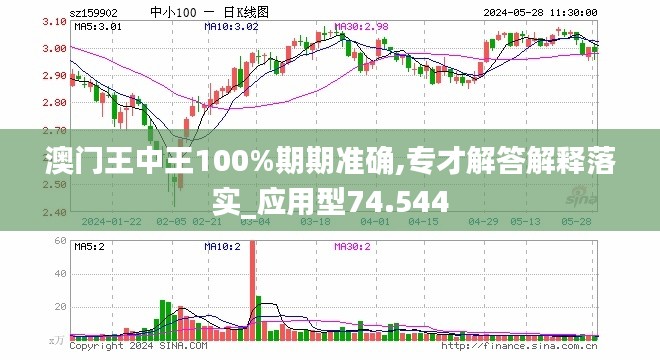 澳门王中王100%期期中，深度解析与实践指南