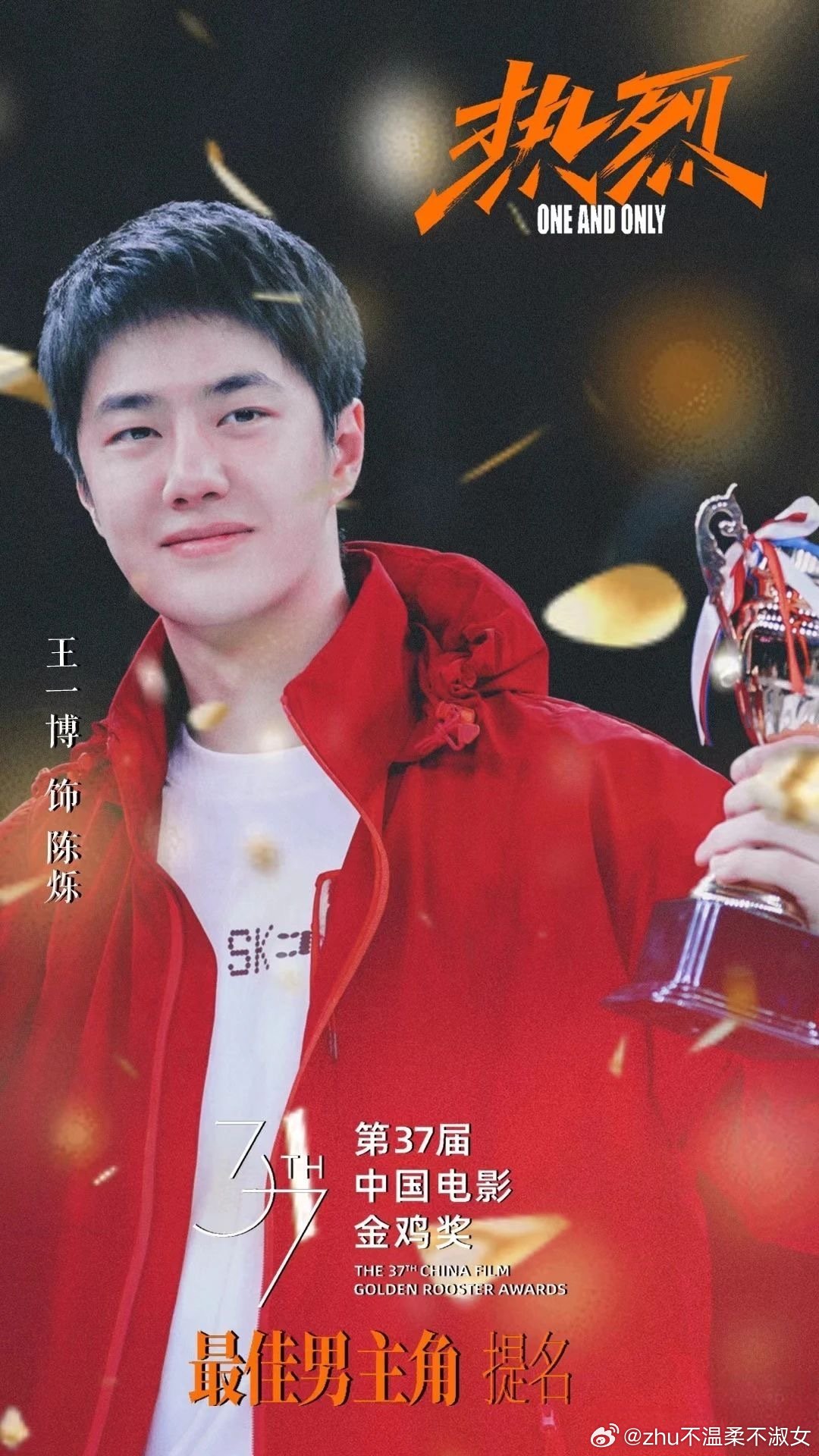 王者归来，王中王一肖一特一中一，网友一致好评，精确无比