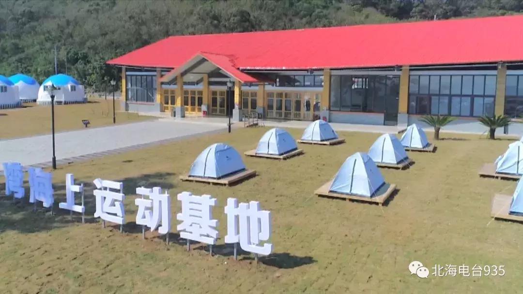 全民热爱与策略落实，聚焦2025新奥最新资料大全精选解析