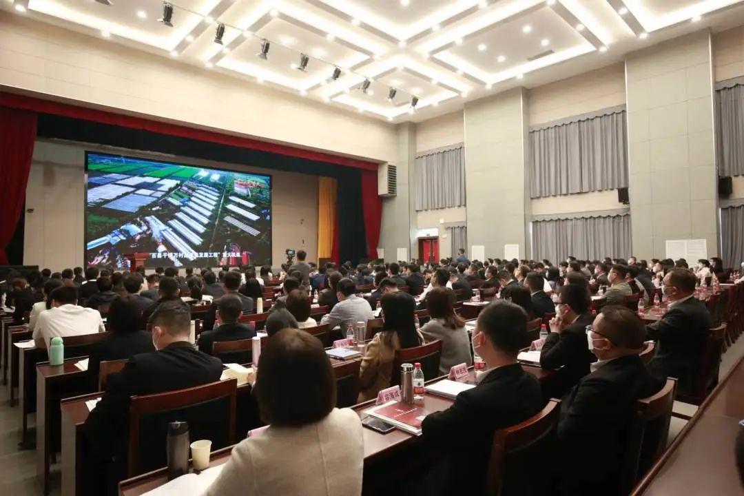 澳门精准免费大全，解析落实与最佳精选策略至2025年