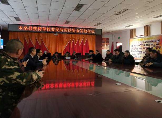新澳精选资料免费提供，精准答案解释落实的重要性