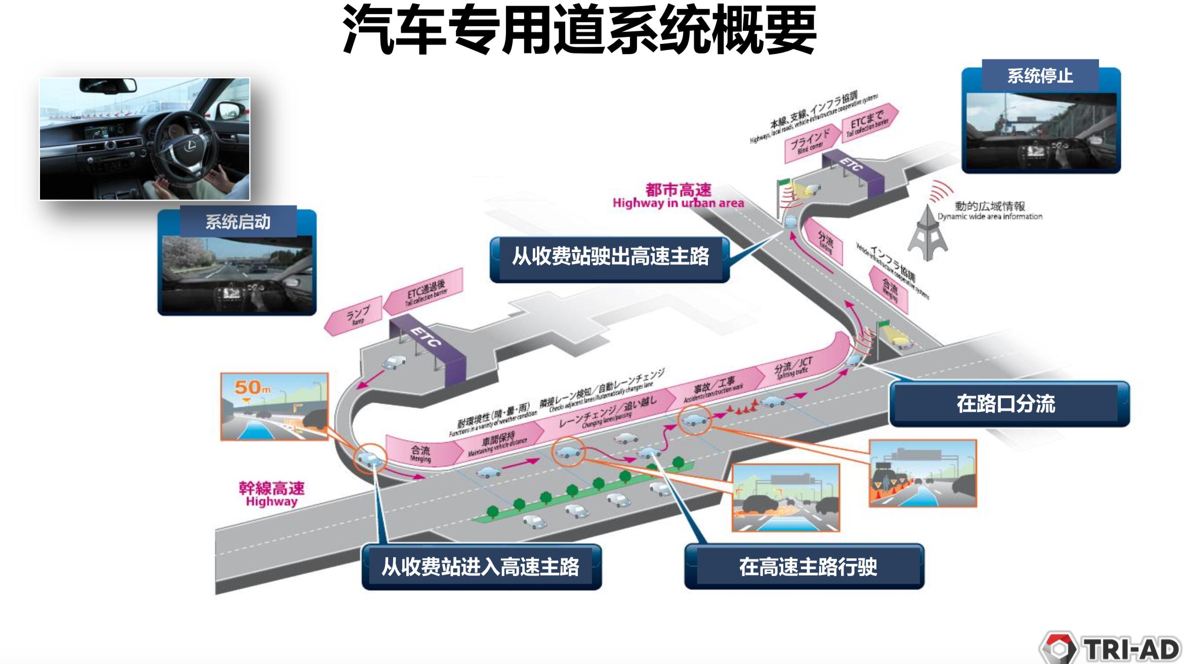 迈向2025年，正版资料免费大全的实证释义、解释与落实策略