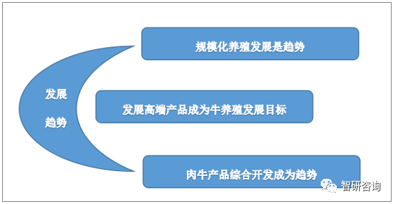 新澳2025最新资料大全及其决策资料解释定义研究