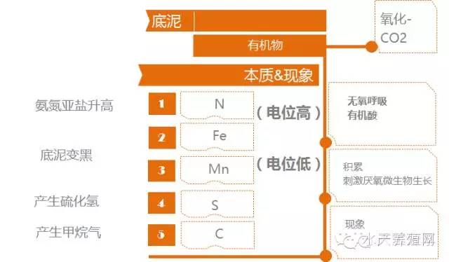 探索未来商业生态，新奥正版管家婆在香港的角色与实现路径