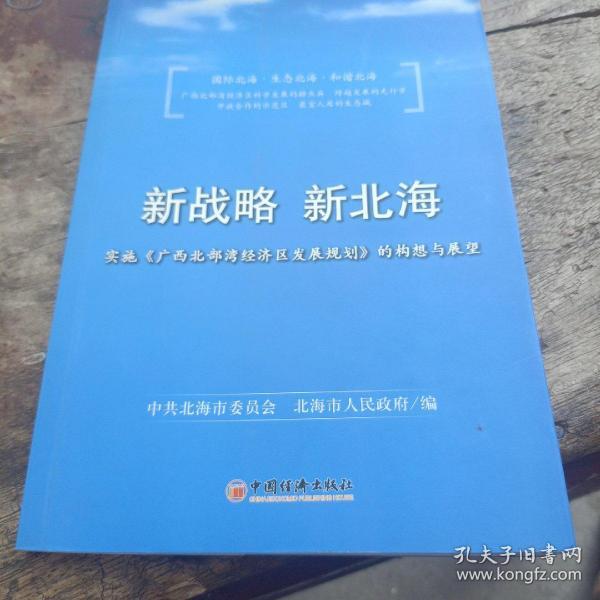 澳门与香港的未来展望，精准发展的蓝图与落实策略