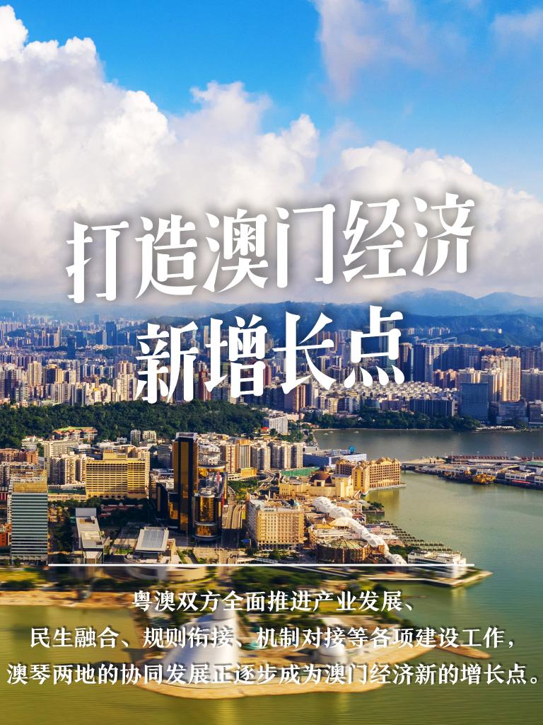 澳门与香港正版免费资料的详细解答、解释与落实 探索未来的机遇与挑战