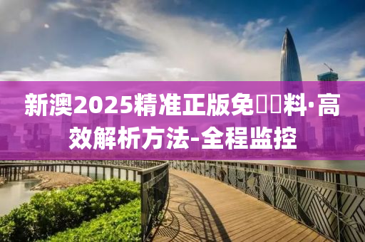新澳2025精准正版免费资料，可靠执行、解释与落实的策略探讨