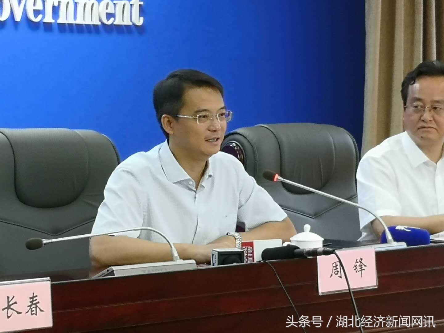 迈向未来，关于2025精准资料免费提供的最新版详细解答、解释与落实