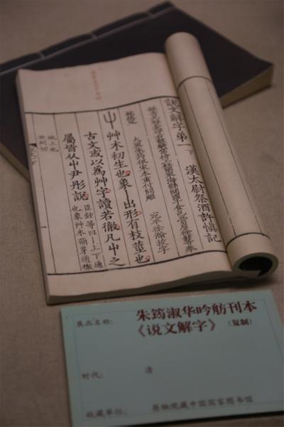 澳门与香港一肖一码一一特一中，全面释义、解释与落实