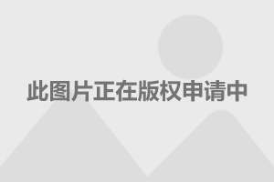 2025年澳门与香港正版免费资料资本释义、解释与落实策略